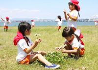写真１