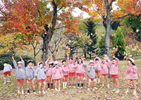 写真２