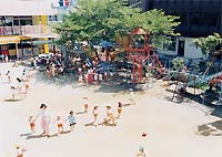 写真１