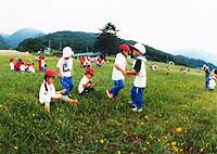 写真３