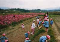 写真３
