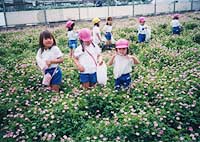 写真１