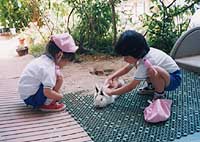 写真３
