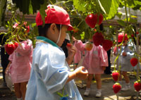 写真１