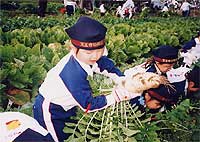 写真２
