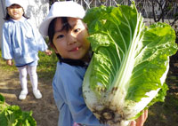 写真２