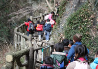 写真１