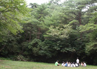 写真２