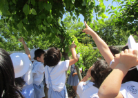 写真１
