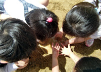 写真２