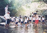 写真１
