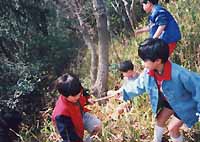 写真１