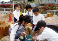写真１