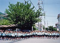 写真３