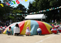 写真１