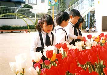 園舎の写真