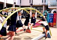 写真１
