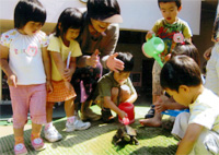 写真１