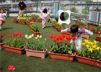 写真３